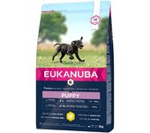 EUKANUBA PUPPY Y JUNIOR RAZA GRANDE 3KG
