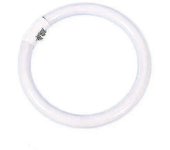 Ring Lamp Tricolor T5-white Light 22w Outer Diameter 18cm (22w)