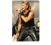 Retro French Rock Singer Johnny Hallyday Metal Sign Personalized Tin Plaque Pub Wall Bar Decor Decorations Art