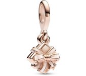 Charm Pandora Colgante Regalo CumpleaÃ±os que se abre 782591C01