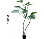 Poenia Arte Floral - Planta Artificial Monstera 180cm - REF 631180  - Decoración Realista