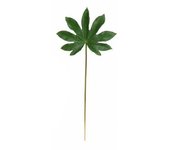 Gerimport Vara Planta Artificial Hoja Aralia 67 Cm - Decoración Realista