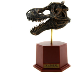 Dinosaur Excavation Toy, Dinosaur Toy Skeleton Fossil Digging 3D Puzzles Model, Simulation Dinosaur Model, Chiosaurus