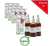 Soria natural EcoPack 12 Extracto de Fumaria 50ml