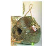 Nido Fibra De Coco Xxl