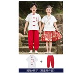 Children's Hanfu Girls' Horse Face Skirt Set Summer New Chinese Style Ming Dynasty Thickened Tang Costume