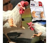 "Disfraz Divertido para Mascotas - Brazos de Pollo Decorativos, Accesorio Gracioso para Perros/Gatos, Disfraz de Dinosaurio Estilo Pollo, Juguete Viral para Fotos, Regalo Original Carnaval/Halloween – Envío Rápido Miravia"