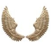 2x Angel Wings Wall Decoration Iron Pair Gold Wing Wall Decoration Angel Wall Hanger Wall Sculpture Wings