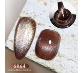 Parkson 10ml Shining Meteor Magnetic Cat Eye Gel Nail Polish Glitter Bright Lacquer DIY Semi Permanent UV Gel Soak Off Varnish