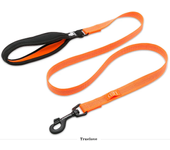 Truelove Pet Nylon Reflective Leash Used Harness and Collar for Small Big Dog and Cat All Breed Training Running Walking TLL2771