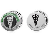 925 Sterling Silver Color Stone Profession Architecture Nutrition psychology Dentistry law Medicine Physiotherapy Veterinary Science pharmacy Charms Beads Fit Original Pan Charms Bracelet for Women Major Graduation Jewelry