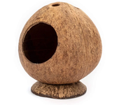 Jaula Simple para hámster, nido de conejillo de indias, resistente a los arañazos, concha de coco, casa de escondite para