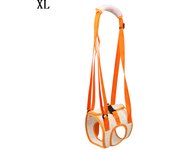 Pet Dog Hind Leg Auxiliary Belt Postoperative Rehabilitation Belt For Recovery Disability Leg Brace Help Walking Harness