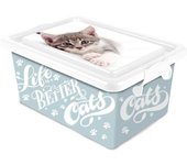 Tradineur  Caja de almacenamiento  Diseño de gatos  Capacidad de 3,7 Litros  Fabricado en España - Contenedor para almacenar juguetes, libros, ropa, mantas
