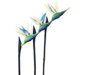3Pcs Artificial Heaven Bird Flowers,Fake Bird of Paradise Strelitzia,Faux Silk Plants for Home Office Wedding Table  Decor