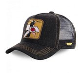 Anime Cartoon Snapback Gorra de Béisbol humbre Mujeres hip hop Papá sombrero del camión