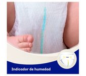 Pañales Dodot Sensitive Extra Talla 6+ (41 Uds.) Dodot