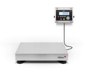Gram Precision Báscula Industrial Higiénica Xtrem X Xtrem X4-300 con Plato de Acero Inoxidable