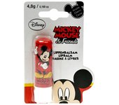 LABIAL INFANTIL MICKEY MOUSE & FRIENDS 4,8 G
