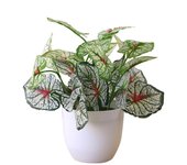 1PC Artificial Foliage Plant Pot Bonsai Party Mall Home Desktop Office Decor Small Bonsai Fake Flower Potted Home Decorations