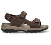 Sandalia SKECHERS 204105 marron
