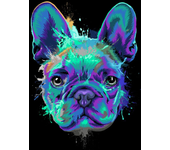 Multicolor Graffiti Dog Head Posters and Pictures Modern Wall Art Canvas Painting Golden Retriever Labrador Bulldog Home Decor