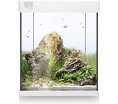 ICA - Kit Nano Aqualed 30 (30 Litros) - Kit Completo con Acuario de Cristal para Agua Dulce