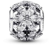Charm Pandora Herbario Brillante 792383C01