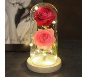 Two Roses Beauty And The Beast Red Rose In A Glass Dome On A Wooden Base Rose Lamp For Valentine's Day Christmas Gift Home Decor