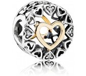 Charm Pandora Círculo del Amor 792009CZ