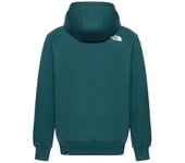 Sudadera TNF MN Simple Dome Hoodie Verde