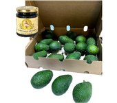 Saynatur, Aguacates HASS Caja de 2 Kg y Miel de Caña 1 Bote 300 gr (Sin Gluten, Vegano). Producción Local. Del productor a tu mesa, sin intermediarios.