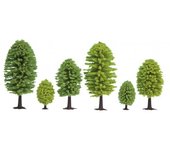 10 árboles de hoja caduca.
