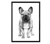 Nacnic Poster De Bulldog Blanco. Lámina Decorativa De Perros.