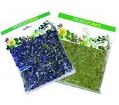 Sauco Flor 30 g  Ynsadiet