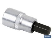 Cofan Llave de Vaso 1/4 con Punta H-6 de Alta Calidad