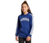 Adidas Codes Collegiate Graphic Sudadera con capucha Niños azul/blanco