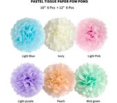 Pastel Tissue Paper Pom Poms Party Decorations Rainbow Ice Cream Easter Macaron Flowers Wall Hanging Supplies Birthday