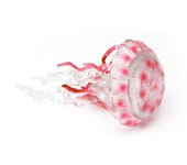 New PVC Ocean Animals Ornaments Multicolor Decoration Crafts Fish Starfish Doll Simulated Animals Home Decor
