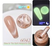 Parkson 10ml Night Glow Cat Eye Nail Gel Polish Shining Meteor Magnetic Cat Eye Gel Polish Glitter Lacquer Semi Permanent UV Gel