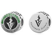 925 Sterling Silver Color Stone Profession Architecture Nutrition psychology Dentistry law Medicine Physiotherapy Veterinary Science pharmacy Charms Beads Fit Original Pan Charms Bracelet for Women Major Graduation Jewelry