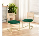 Pack de 2 Comedor Tapizadas, Sillas de Cocina Modernas con Patas de Metal, Gran Estabilidad y Capacidad de Carga, Blanco, Ratán, Vellón, Espuma, Unidades