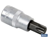 Llave de vaso 1/4 con punta t-10