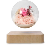 Levitating Air Bonsai Pot Rotation Flower Pot Planters Magnetic Suspension Floating Pot Potted Plant Home Without Plants