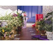 JARDIN202 - Kit de Riego  20 Macetas