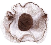 20/60pcs Invisible Nylon Hair Nets, Durable Disposable Ballet Bun Cover Snoods, 5mm Elastic Edge Mesh for Dance & Performance