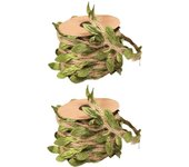 2 rolls of natural jute yarn, tape t climbing board material with artificial green vine leaves, scratch post, hemp rope