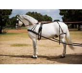 ENGANCHE HH ROSTOCK PECHERIN SENCILLO