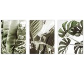 Set de 3 cuadros calidad premium con marco de madera - 30x40 cm o 50x70 cm - POSTER LAB