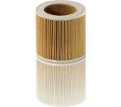 Filtro de aspiradora Kärcher 64145520